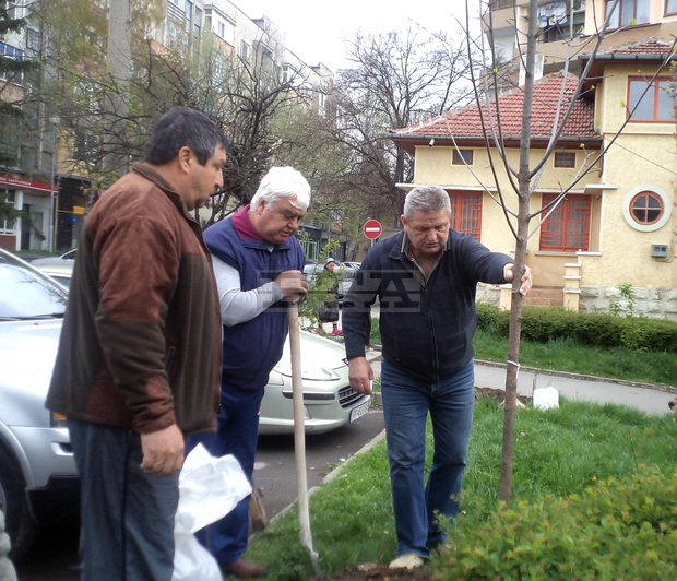 Залесителна акция организираха ротарианците в Разград Залесителна акция организираха ротарианците в Разград