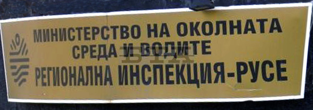 Експерти на РИОСВ-Русе са отгледали три малки синигера