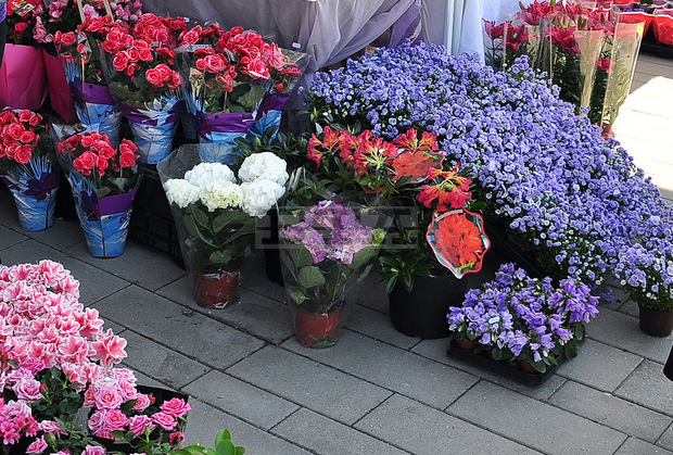 Служители на НАП в Русе  съставиха актове  на търговци на цветя