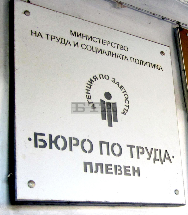 Всеки пети безработен в Плевен и в региона е млад човек на възраст до 29 години