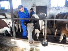 Ученици от Професионалната гимназия по механизацияна селското стопанство в Разлог завоюваха призови места на състезание "Млад фермер-2014"