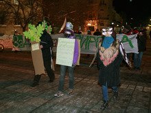 Трийсетина души протестираха в Русе срещу опитите за застрояване на част от природен парк "Странджа"