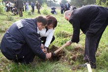 Засадени са 150 кипарисови фиданки край село Дъбрава