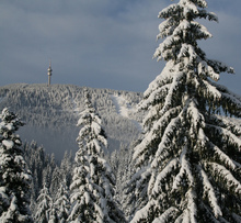 Сняг вали в Пампорово