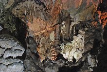 Почти 24 000 туристи са посетили пещерата "Леденика" и развлекателния парк около нея от началото на годината