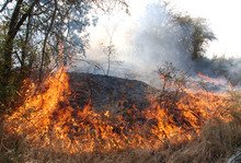 За ден огнеборците в Монтанско са гасили 16 пожара на открито