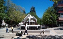 Във Вършец започна празник на минералната вода и курорта