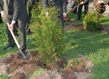 Община Болярово  ще получи близо 750 000 лева  за залесяване