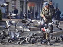 Българската асоциация на пенсионерите ще създава обществени съвети в областните градове