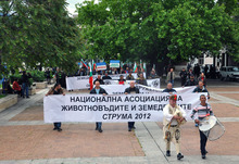 Животновъди от Югозападна България протестираха в Кресна