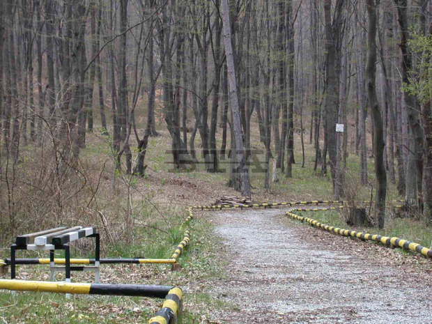 В Природен парк "Сините камъни" са били залесени 33 декара по проект В Природен парк "Сините камъни" са били залесени 33 декара по проект