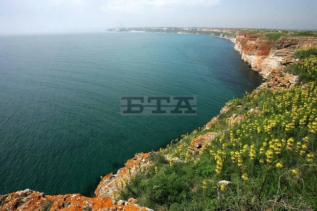 Нова защитена зона "Крайморска Добруджа" ще опазва природни местообитания на площ от над 66 000 декара Нова защитена зона "Крайморска Добруджа" ще опазва природни местообитания на площ от над 66 000 декара