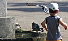 Температурата в Силистра достигна 34.5 градуса 