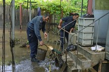 Община Добрич набира доброволци за отводняване на медицински център