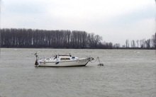 Силистренци ще хвърлят гигантска гирлянда в р. Дунав в памет на покойни деятели на водните спортове и моряци