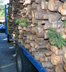 Във Великотърновска област се  подготвя план за по-висок контрол при  добива и извозването на дървесината