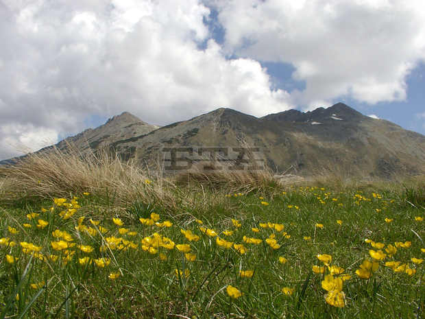 В сила е оперативен план за пожароопасен сезон 2018 г. за Национален парк "Пирин"