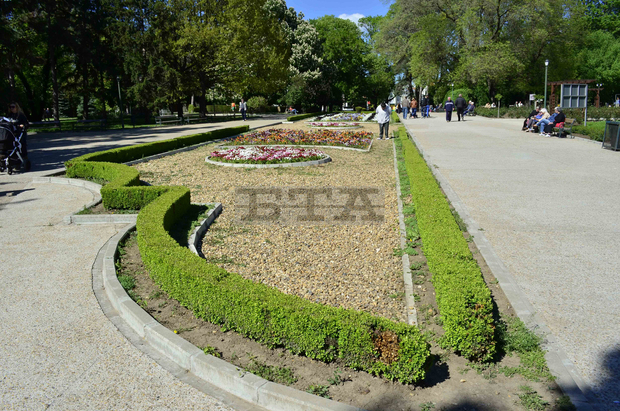 Художествен пленер "Големите учат малките" събира творци в градския парк"Свети Георги" в Добрич