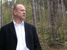 Близо 40 процента от повалената от снеголом дървесина в Южен Централен район ще се добие  до края на годината