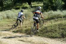 Близо 140 бегачи и колоездачи ще участват във второто издание на  Лудогорския полумаратон и колоездене