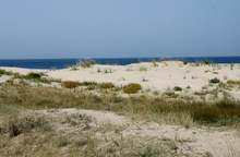 Община Созопол възстанови дюните на къмпинг "Златна рибка"