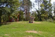 Казанлък обогати флората си с над 80 000 растения за три години