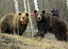 Зоокътът в парка "Кайлъка" от тази сутрин  е отворен за посетители, интересът към  дивите животни и птици е голям