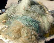 Инспектори извадиха от Дуранкулашкото езеро 400 метра мрежи за незаконен улов