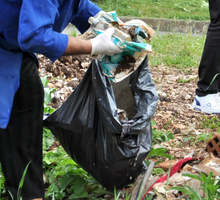 Русенско туристическо дружество организира акция по почистване на Дунавските острови
