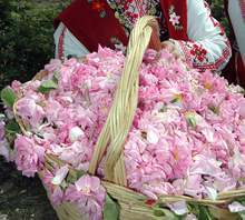 Започва строителството на новия Музей на розата в Казанлък