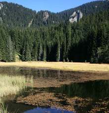 Над 54 процента ръст в броя на туристите има в Смолянска област през юли