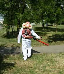 Разяснителна кампания за борба  срещу вредители се организира  в Ловеч  