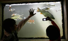 Безплатни туристически обиколки с професионален екскурзовод се организират от днес във Варна