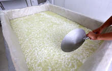 Демонстрационен център в с. Васил Левски, Карловско, ще учи как се преработва биволското и овче мляко