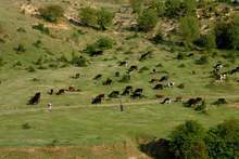 Земеделци остават без работници на полето