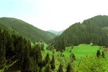 Петото издание на Meadows In The Mountains Festival в родопското село Полковник Серафимово събра публика от няколко страни 