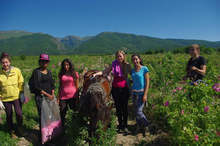 Проект "Розоберачи" събира  млади хора  от четирите държави