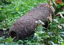 Невзривен снаряд е намерен в двор на къща в харманлийско село