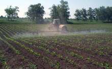 Продължава сеитбата  на пролетни култури  в област Търговище