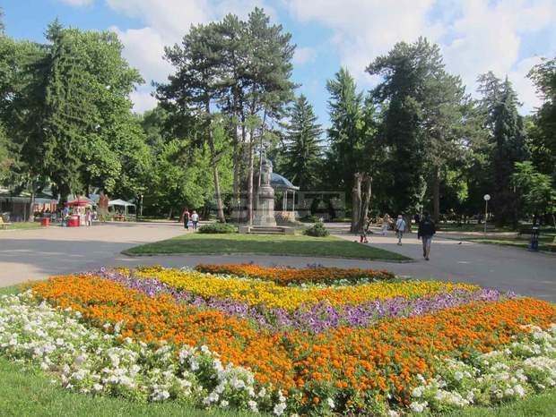 В Плевен за първи път в "Активна събота" организират много атракции В Плевен за първи път в "Активна събота" организират много атракции