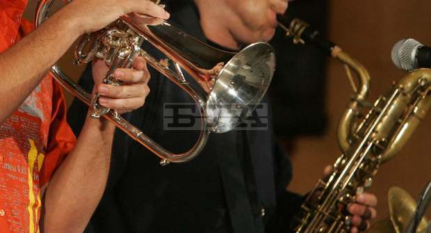 "Концерти на възглавници"  ще има в Русенския  исторически музей 