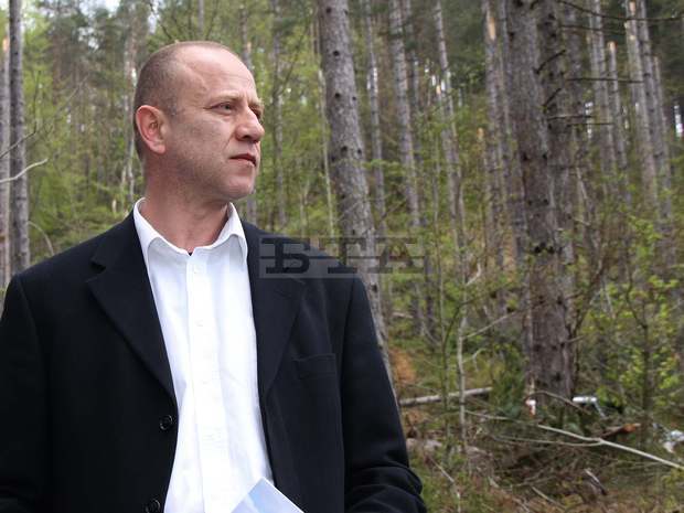 Близо 40 процента от повалената от снеголом дървесина в Южен Централен район ще се добие  до края на годината