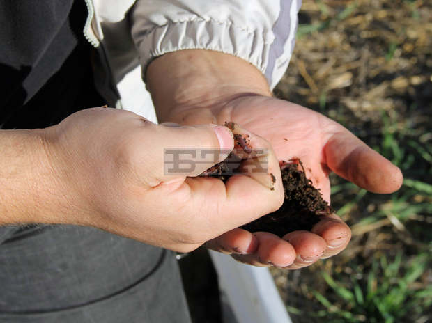 Селскостопанска гимназия от Силистренско ще произвежда биохумус