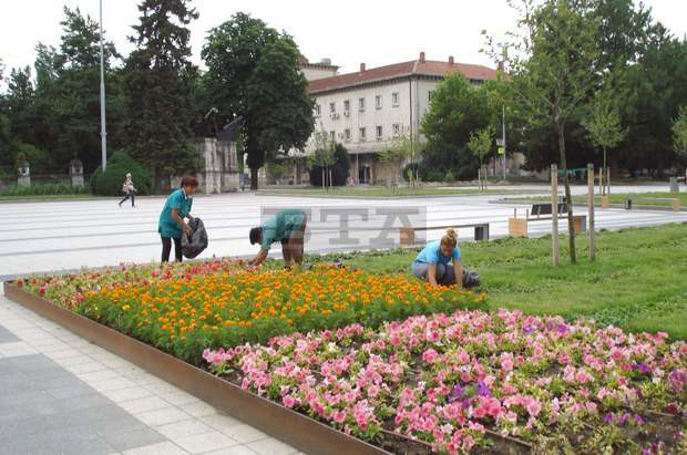 Приютът за бездомни кучета край Плевен е почистен и обновен