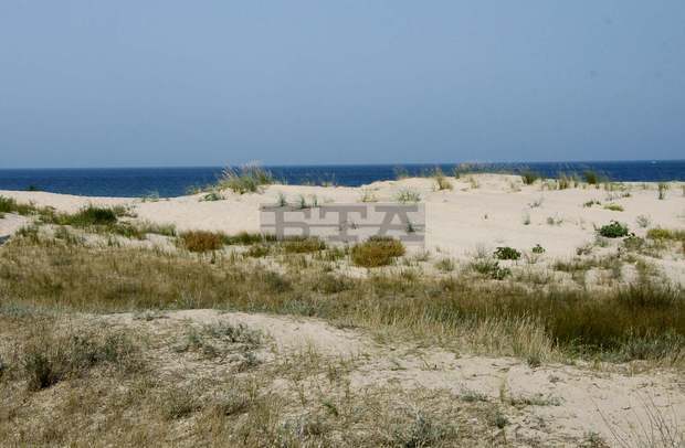 Община Созопол възстанови дюните на къмпинг "Златна рибка"