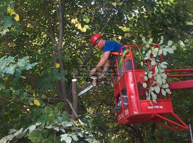 За по-добро електроснабдяване са почистени просеки в община Антоново