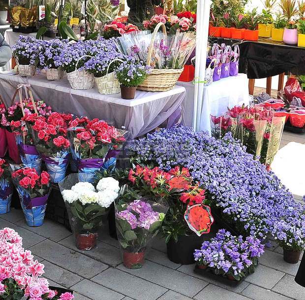 Цветари, медари и биопроизводители ще предлагат своята продукция на първата есенна "Флора" в Бургас