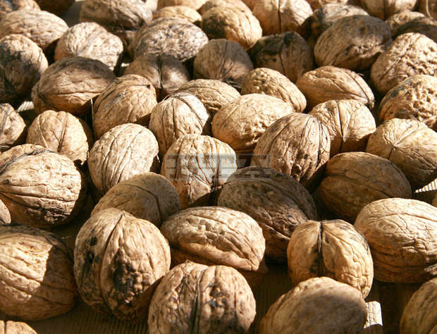 Крадци задигнаха орехи и луканка от частен дом в монтанското село Якимово