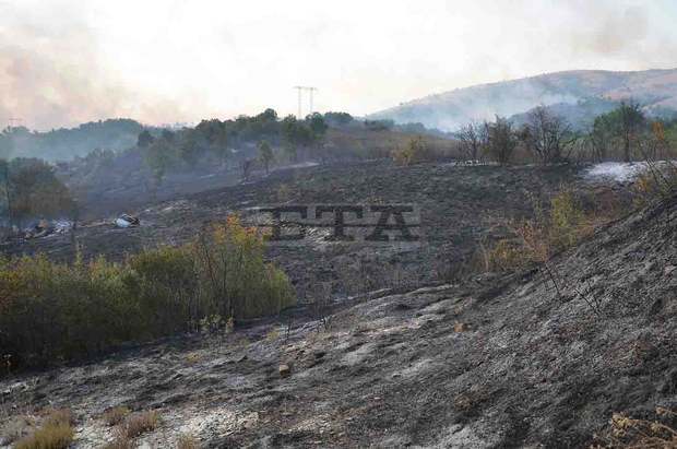 За ден огнеборците в Монтанско са гасили 16 пожара на открито, унищожени са около 10 000 декара треви За ден огнеборците в Монтанско са гасили 16 пожара на открито, унищожени са около 10 000 декара треви