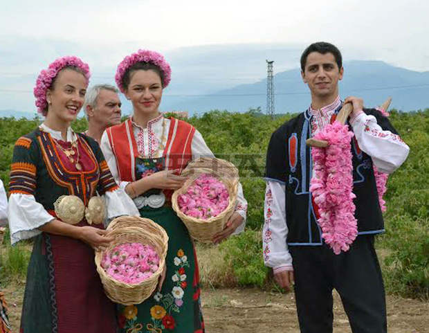 В Казанлък, Павел баня и Карлово отменят тазгодишния Празник на розата В Казанлък, Павел баня и Карлово отменят тазгодишния Празник на розата